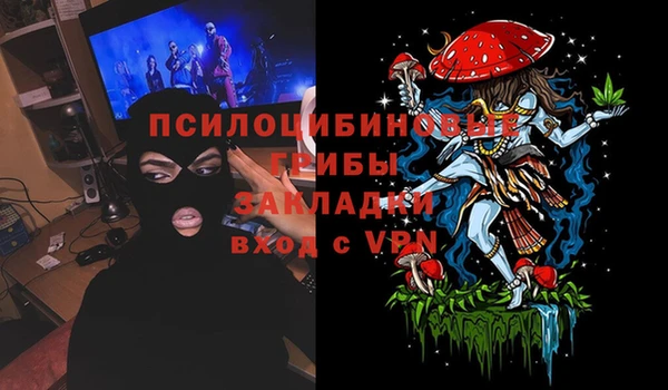 амф Алексин