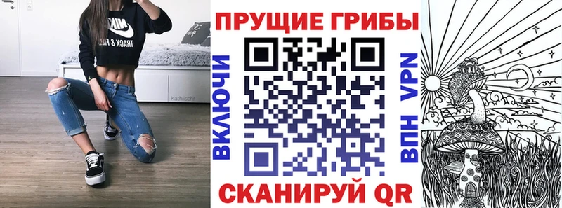как найти наркотики  Балабаново  кракен онион  darknet состав  Псилоцибиновые грибы MAGIC MUSHROOMS 