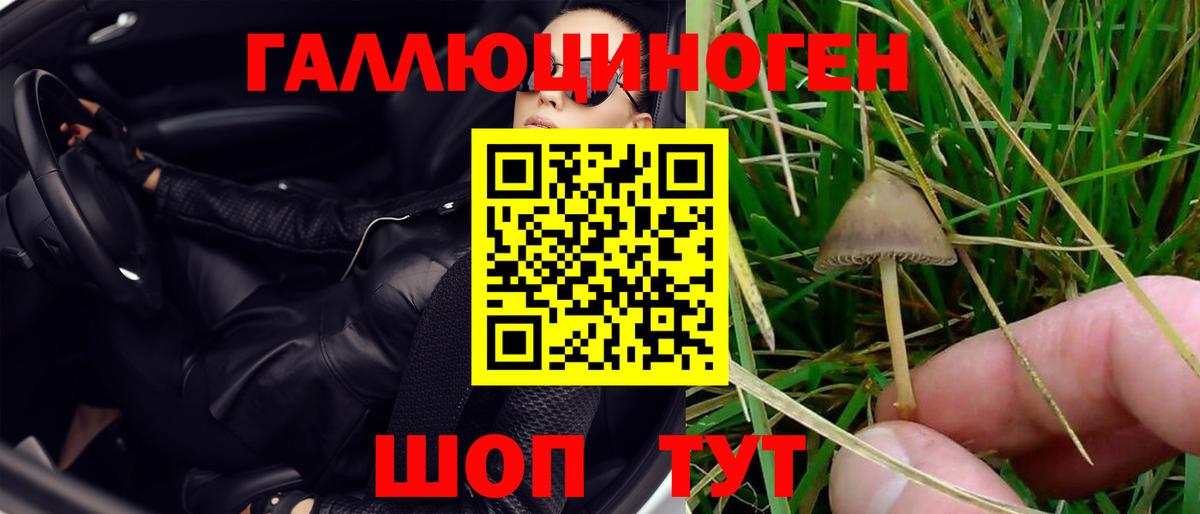 Псилоцибиновые грибы Psilocybe  Вход с VPN  Псилоцибиновые грибы ЛСД  наркота  Балабаново 